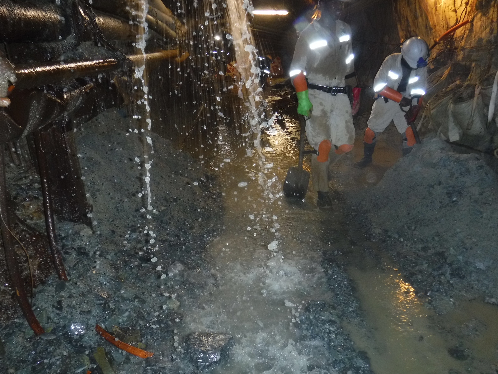 Cross Cut Management — image 2